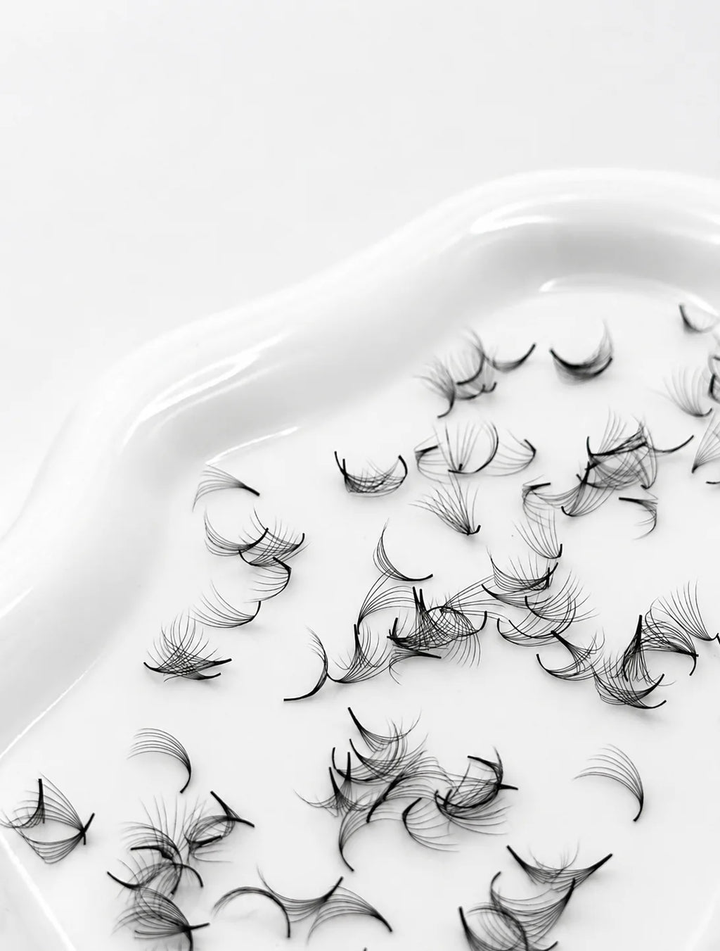 7D 0.07 D Curl | Mix 1,000 Fans