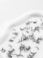 7D 0.07 D Curl | Mix 1,000 Fans