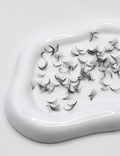 10D 0.05 C Curl | Mix 1,000 Fans