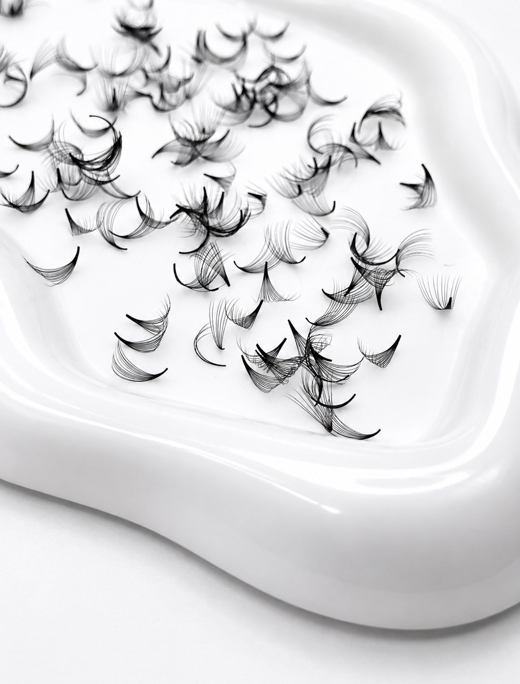 12D 0.05 D Curl | Mix 1,000 Fans