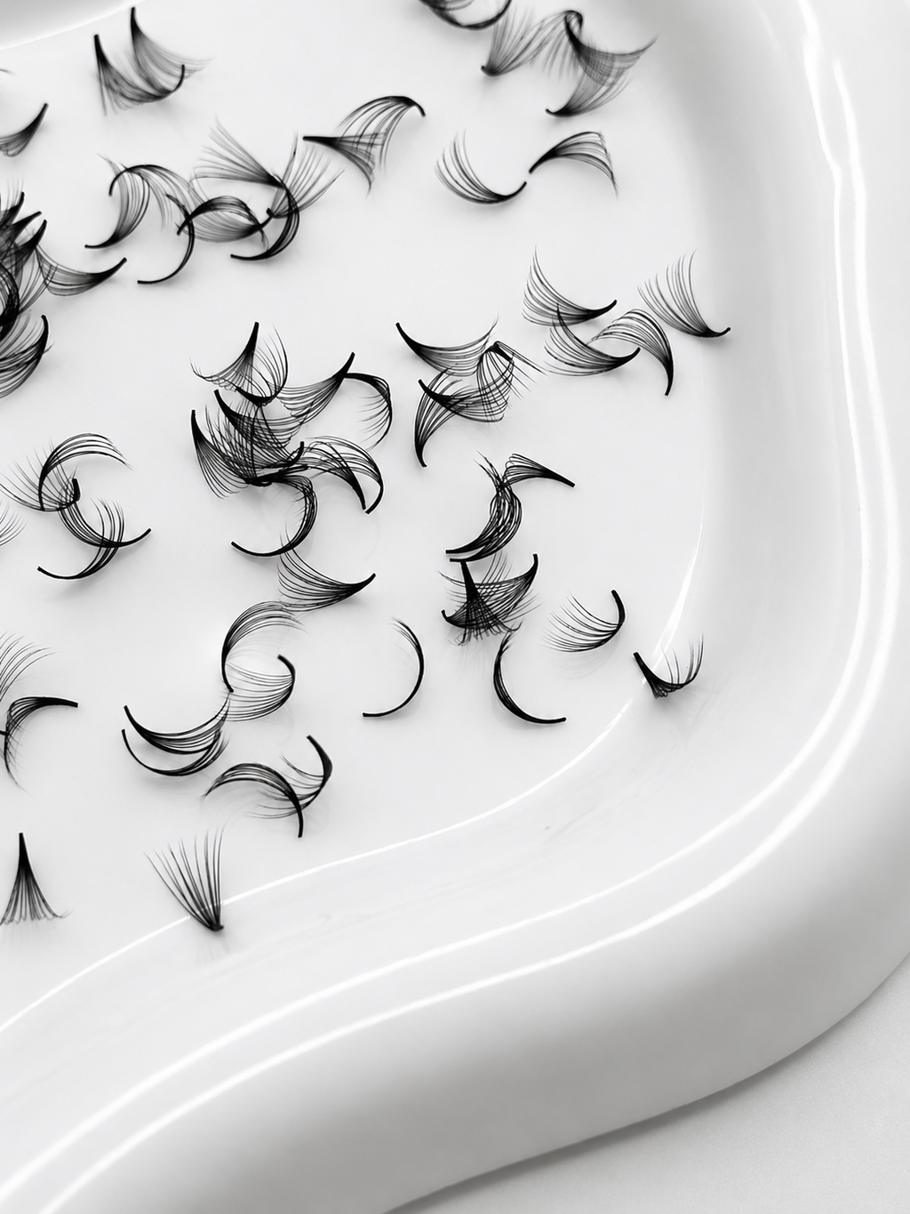 12D 0.05 C Curl | Mix 1,000 Fans