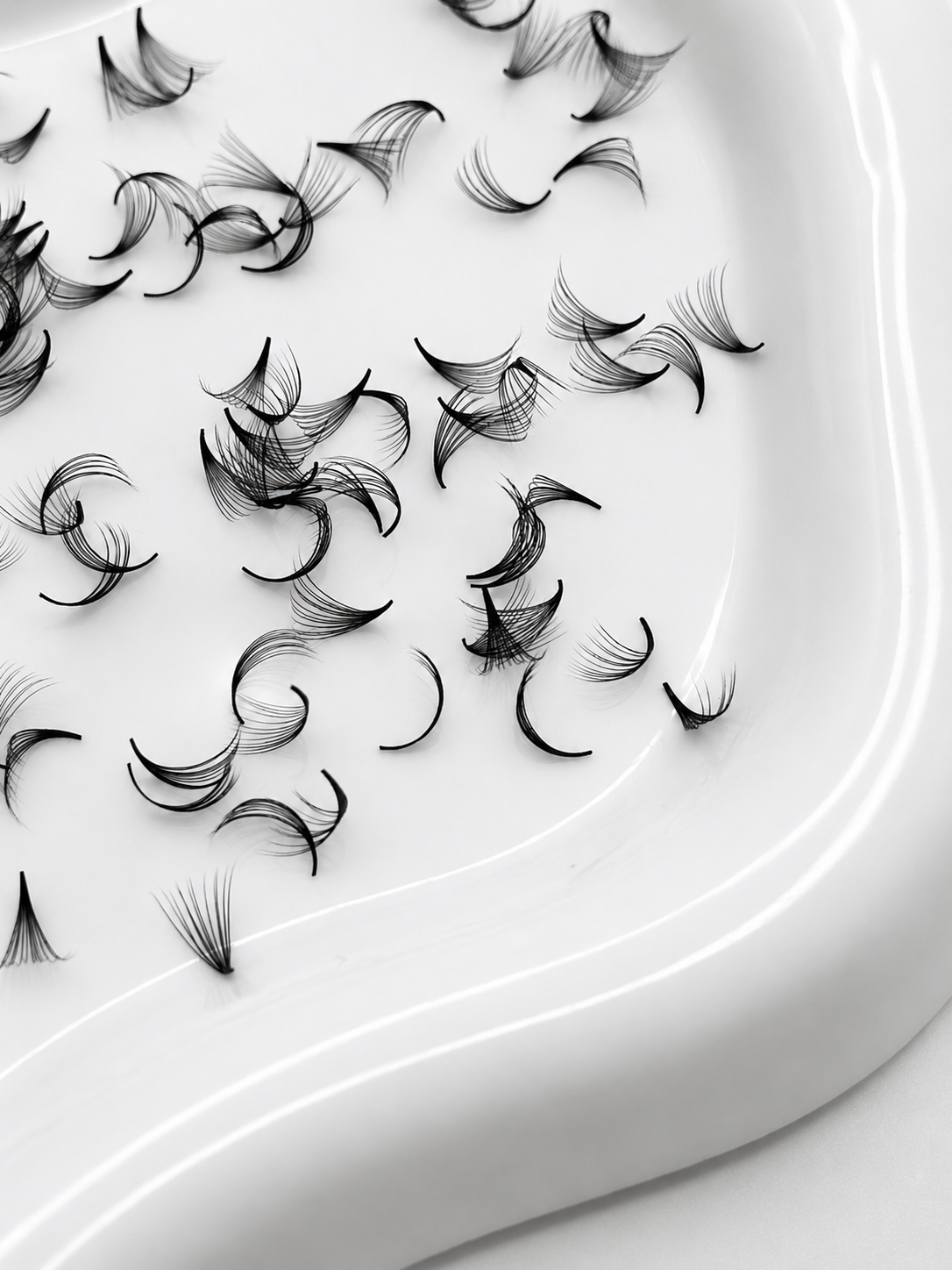 12D 0.05 C Curl | Mix 1,000 Fans