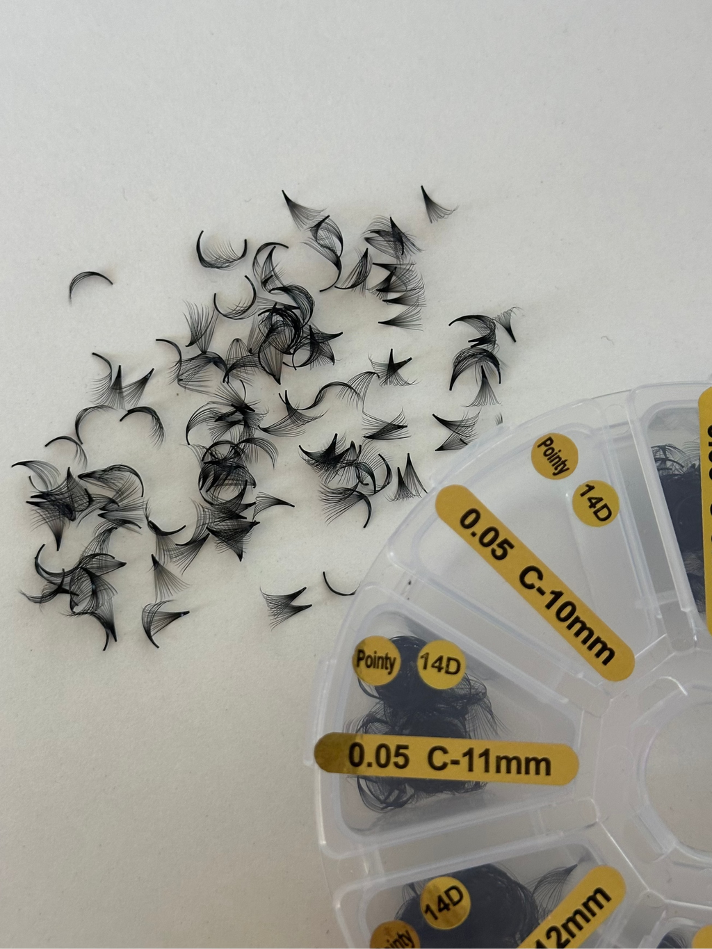 14D 0.05 C Curl | 1,000 Fans