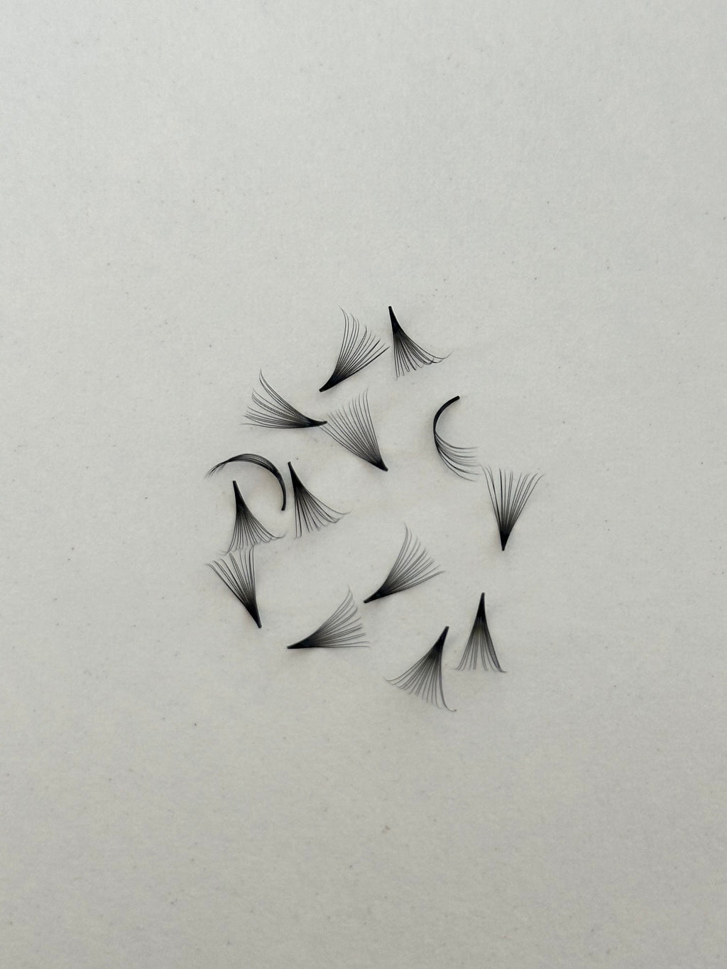 14D 0.05 C Curl | 1,000 Fans