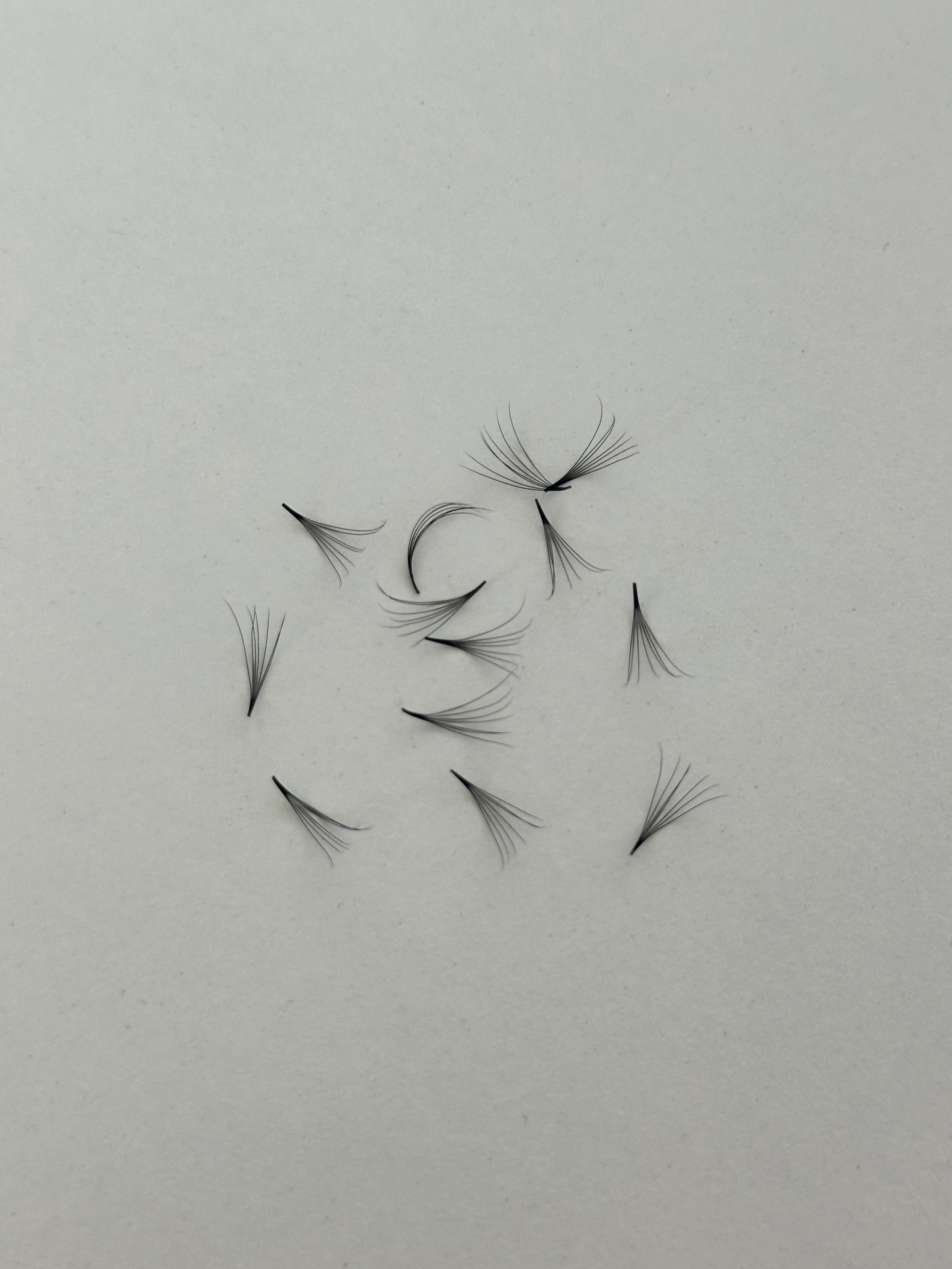 7D 0.07 C Curl | 1,000 Fans