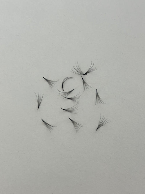 7D 0.07 C Curl | 1,000 Fans