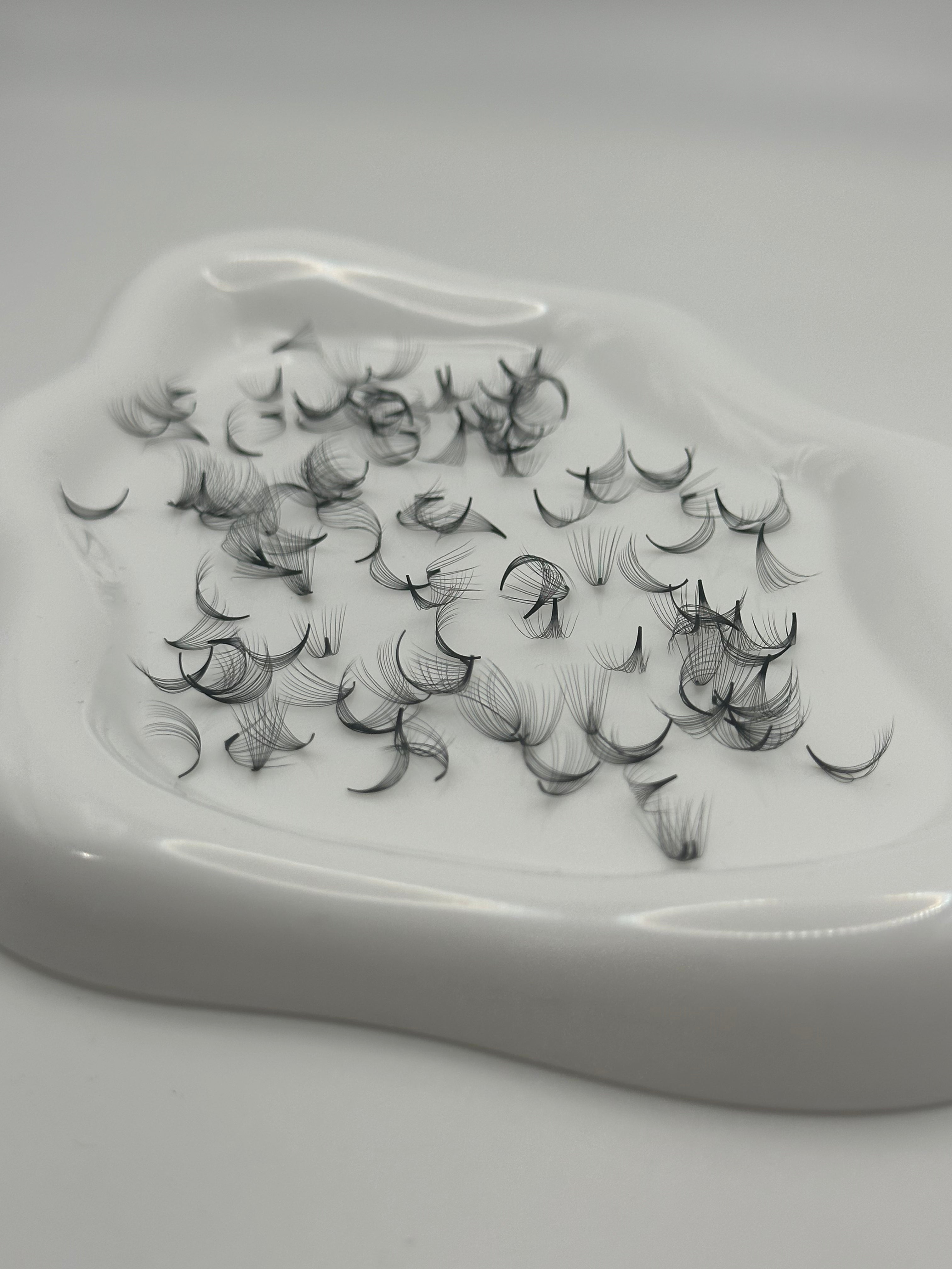 12D 0.05 C Curl | Mix 1,000 Fans