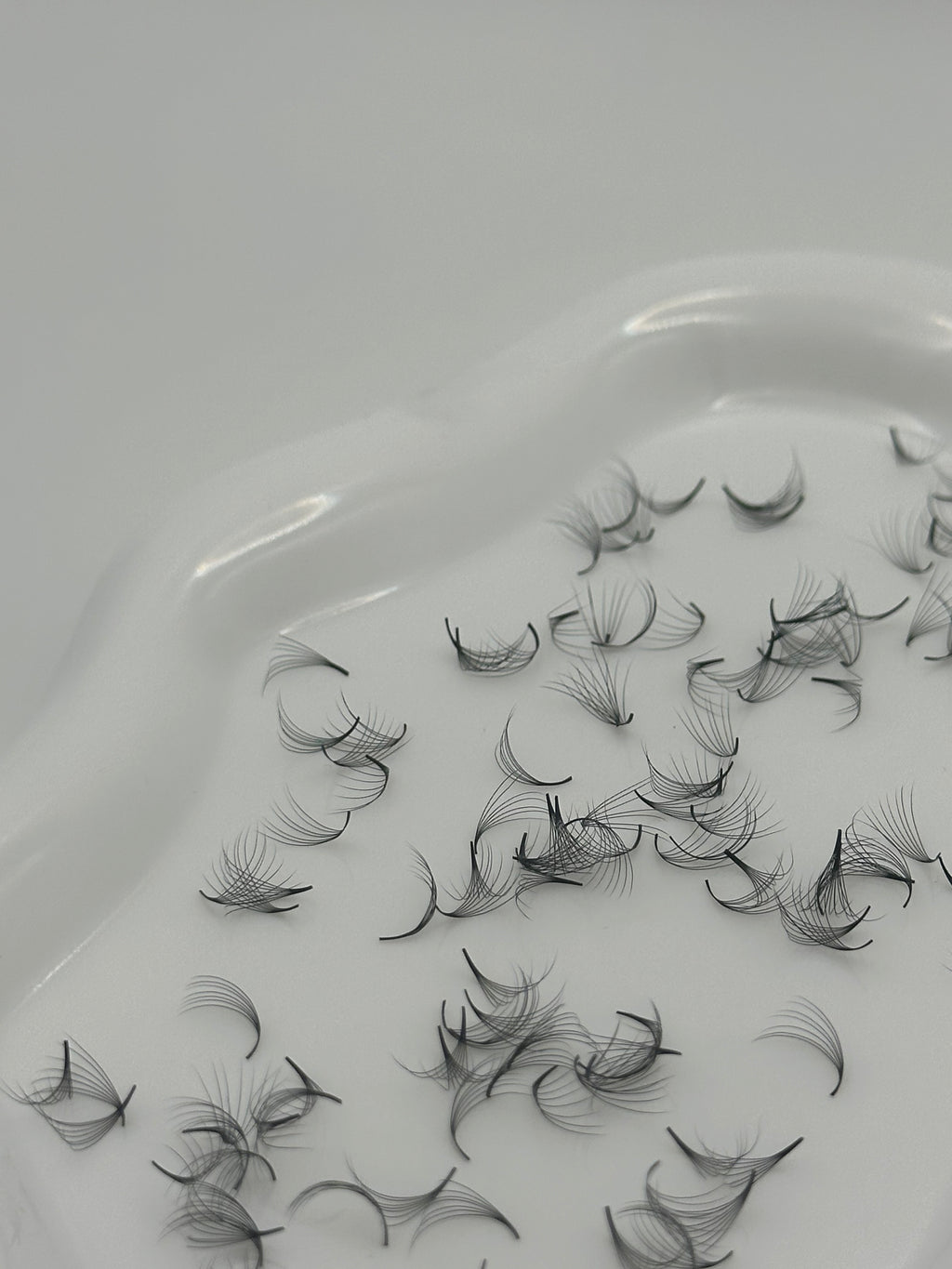 7D 0.07 D Curl | Mix 1,000 Fans