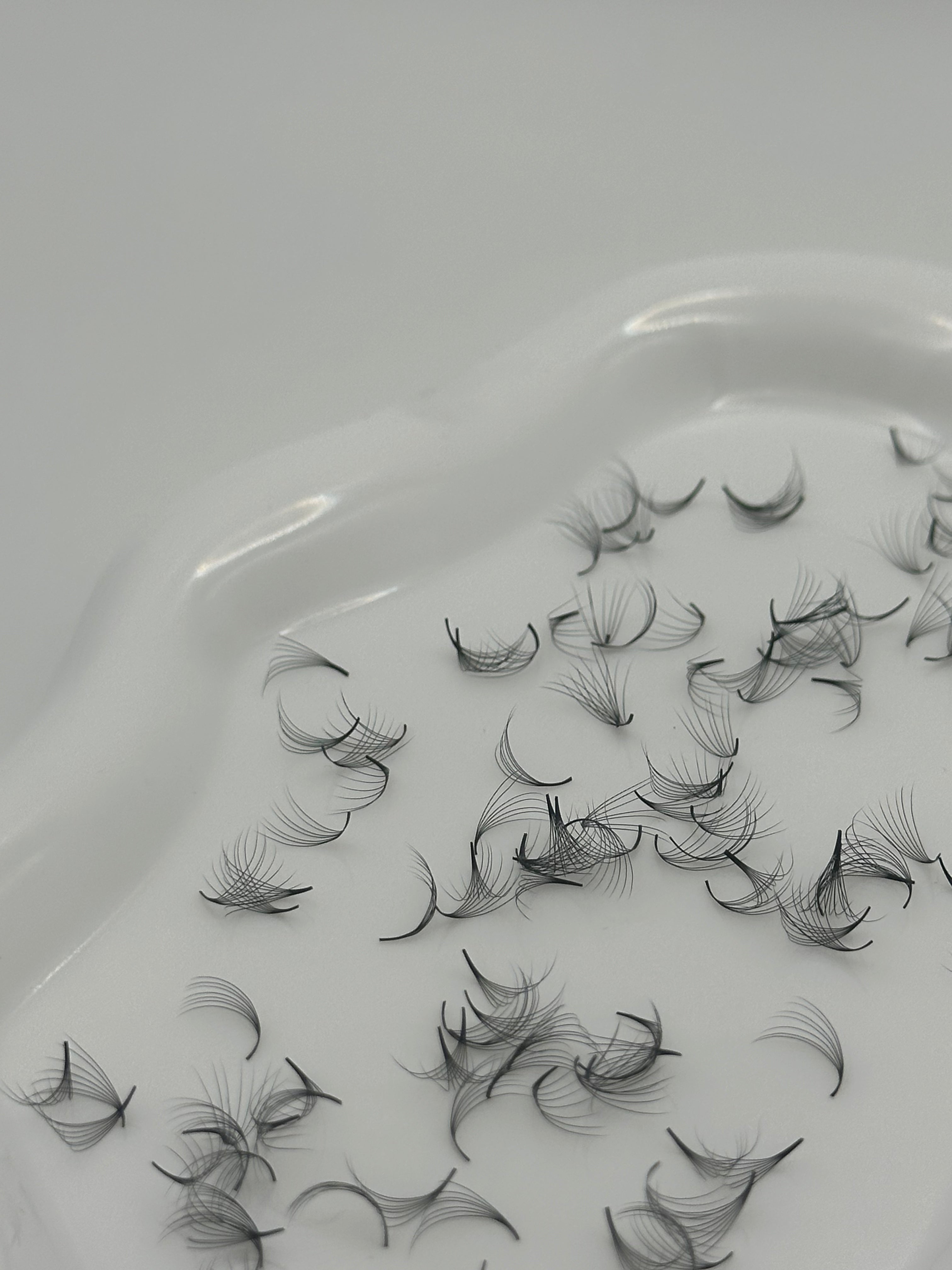 7D 0.07 D Curl | Mix 1,000 Fans