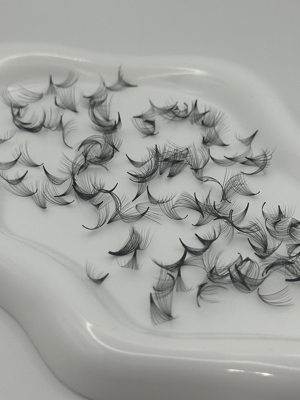 14D 0.05 C Curl | Mix 1,000 Fans
