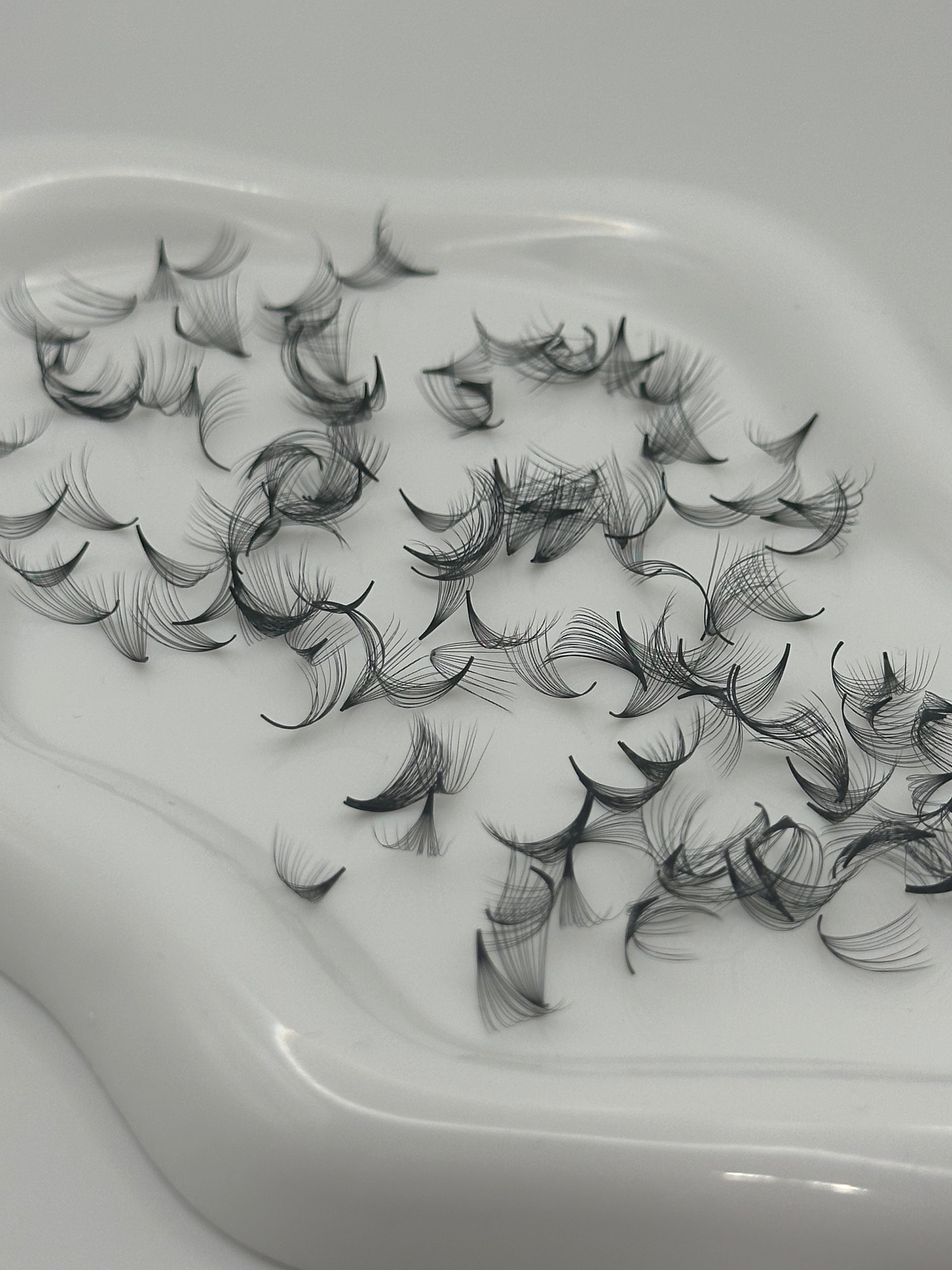 14D 0.05 C Curl | Mix 1,000 Fans
