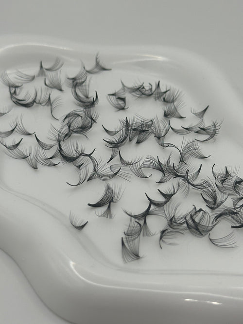 14D 0.05 C Curl | Mix 1,000 Fans