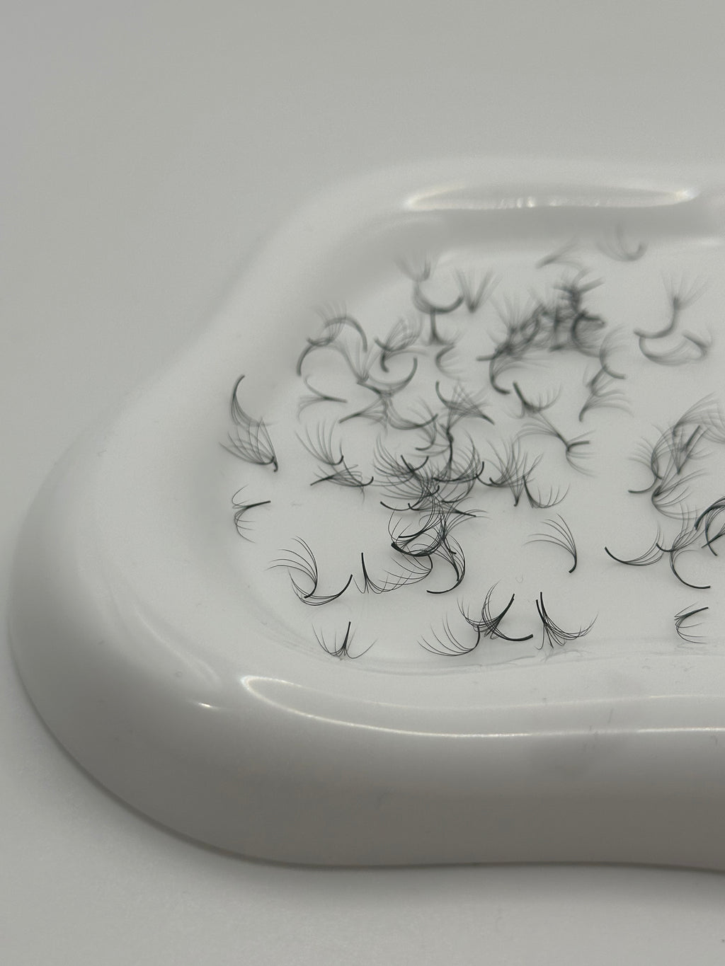 5D 0.07 D Curl | Mix 1,000 Fans