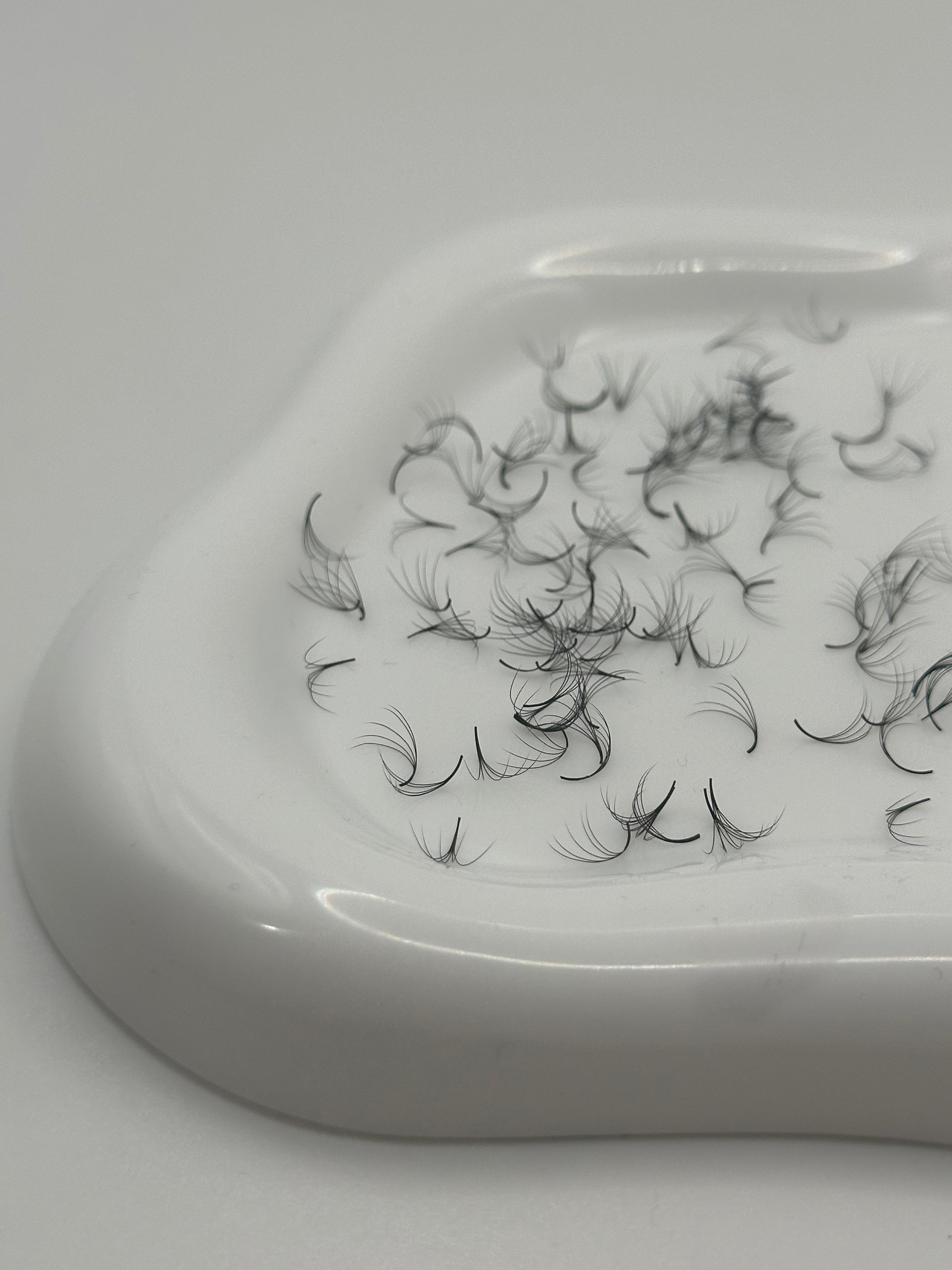 5D 0.07 D Curl | Mix 1,000 Fans