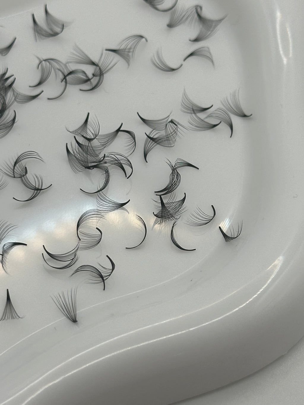 12D 0.05 C Curl | Mix 1,000 Fans