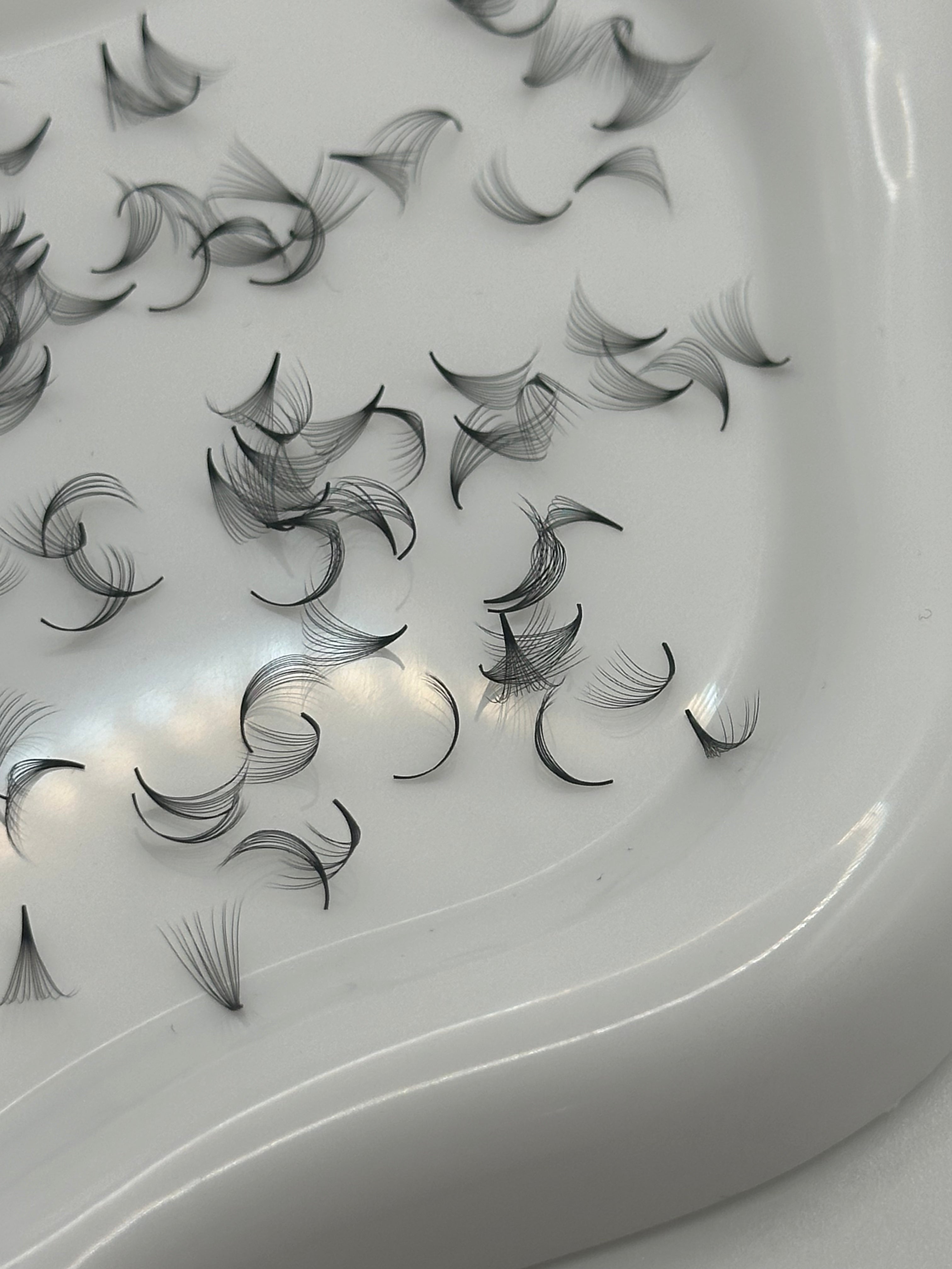 12D 0.05 C Curl | Mix 1,000 Fans