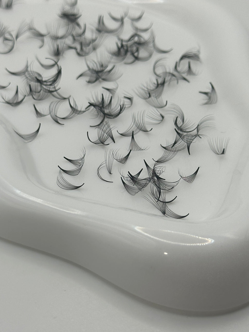 12D 0.05 D Curl | Mix 1,000 Fans