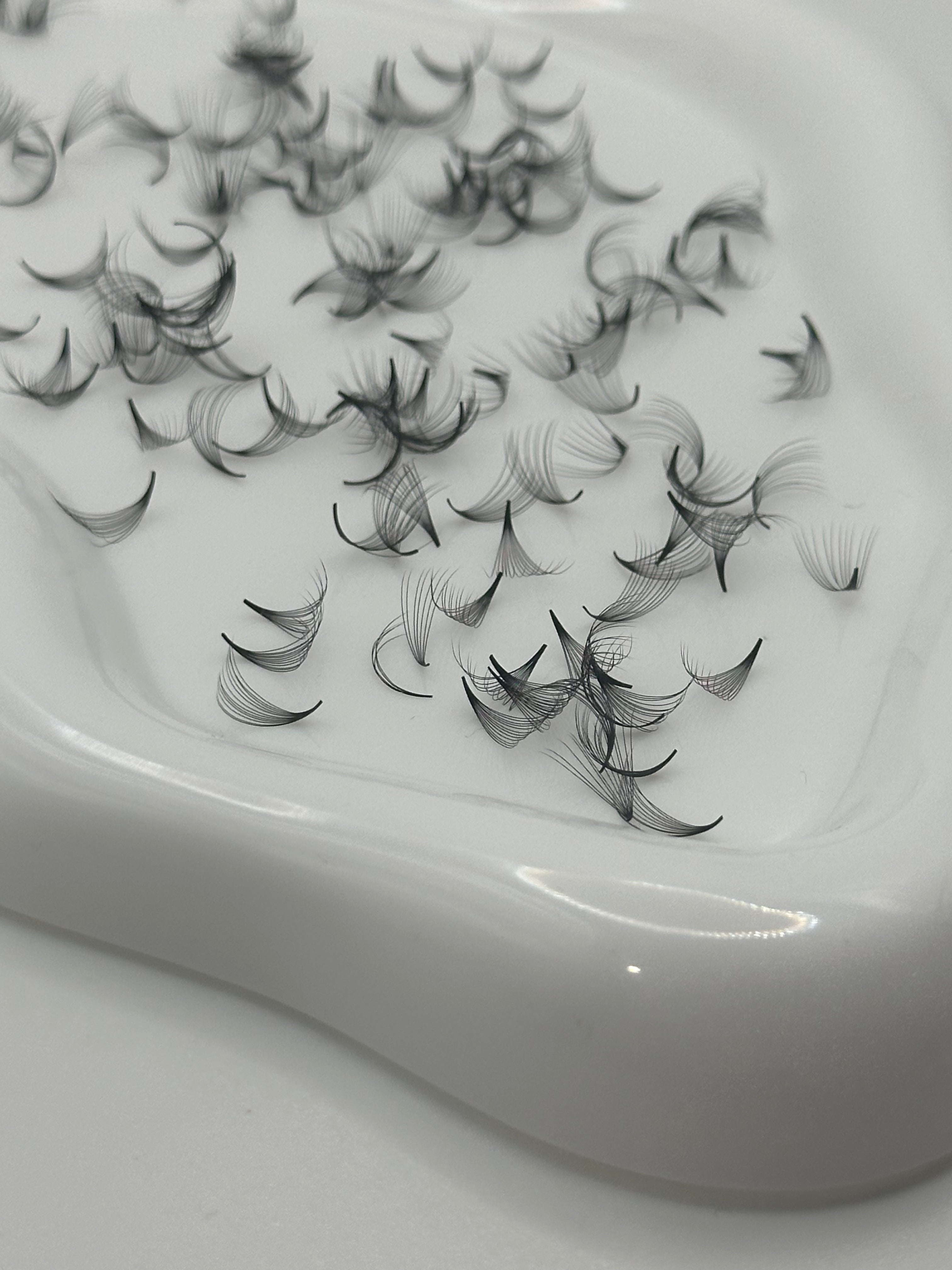 12D 0.05 D Curl | Mix 1,000 Fans