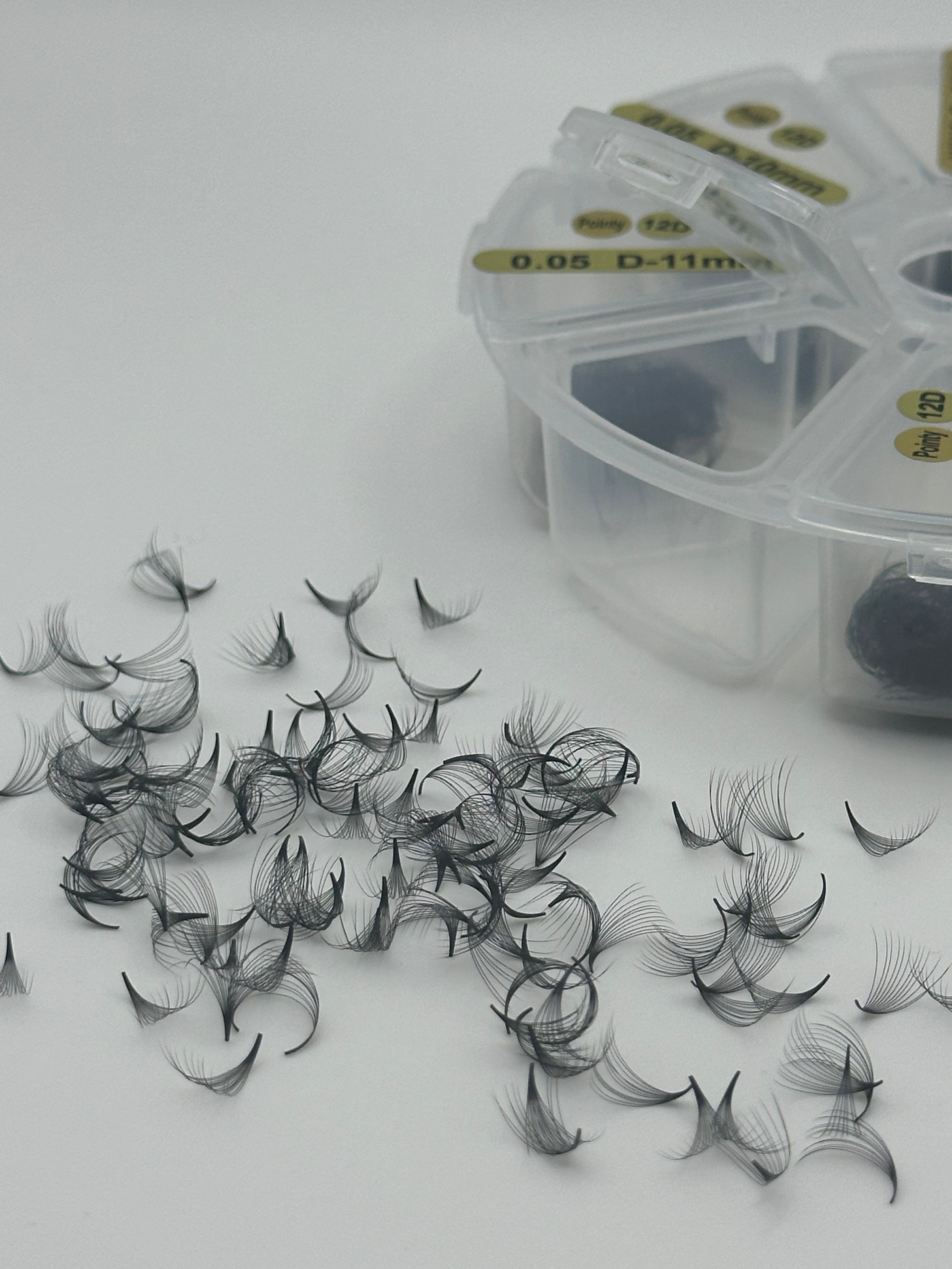 12D 0.05 D Curl | Mix 1,000 Fans